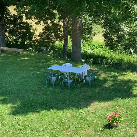 Вілла Ferme Au Calme A 15Mn Du Chambon Sur Lignon Saint-Jeures Екстер'єр фото