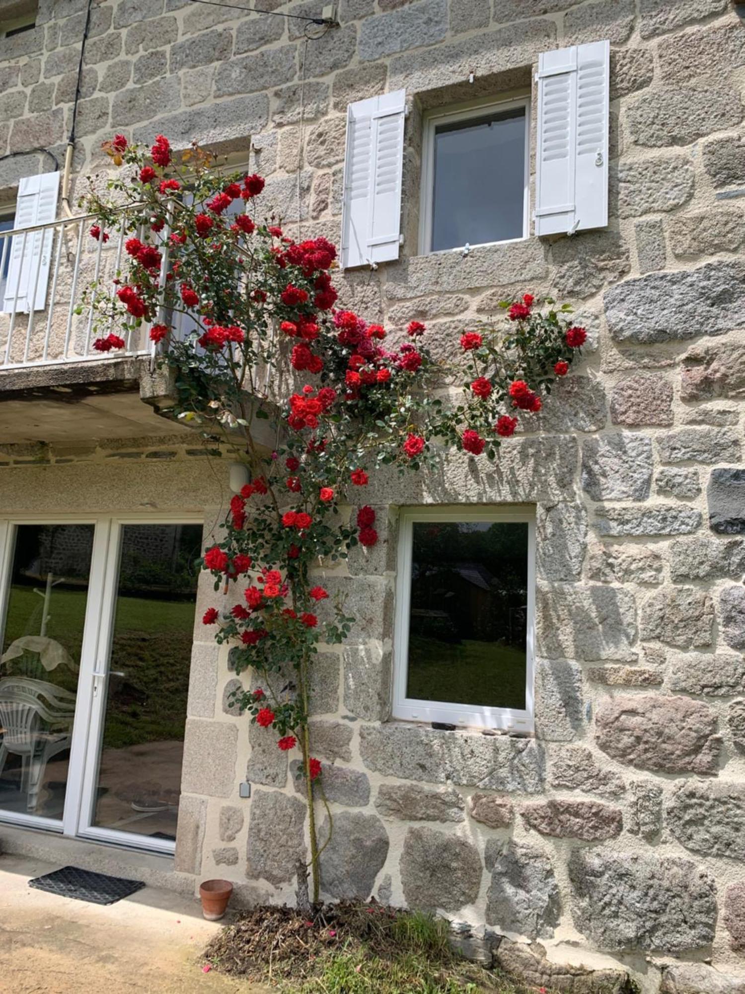 Вілла Ferme Au Calme A 15Mn Du Chambon Sur Lignon Saint-Jeures Екстер'єр фото